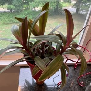 Meet your Posher, Margaret